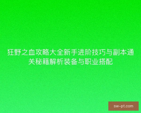 狂野之血攻略大全新手进阶技巧与副本通关秘籍解析装备与职业搭配