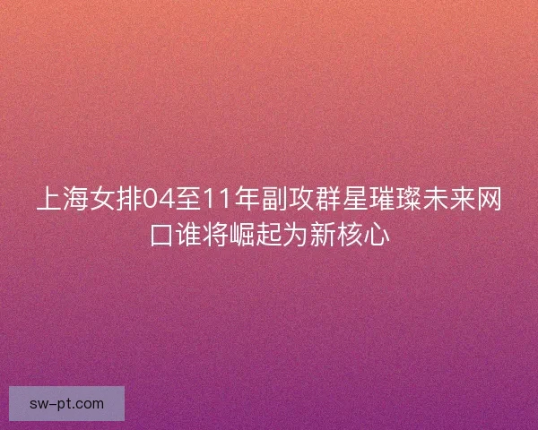 上海女排04至11年副攻群星璀璨未来网口谁将崛起为新核心 上海女排04至11年副攻群星璀璨未来网口谁将崛起为新核心