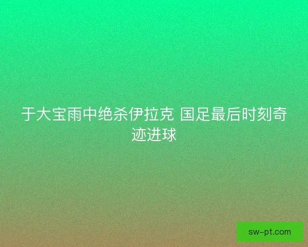 于大宝雨中绝杀伊拉克 国足最后时刻奇迹进球